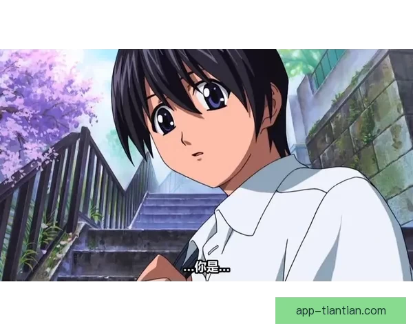 妖精漫画全集：不止是奇幻，更是灵魂深处的共鸣